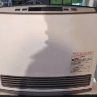 بخاری ژاپنی  ۵۸۰۰