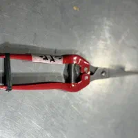 قیچی میوه چینی