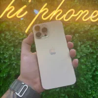 اپل iphone 13 promax با حافظهٔ 256 پک اصلی