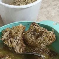 عسل صدرصدخالص|خوردنی و آشامیدنی|مسجد سلیمان, |دیوار