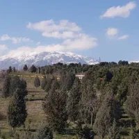۷۷ متری ۱ خوابه طبقه ۳ در استقلال پارک پرندگان|فروش آپارتمان|تهران, استقلال|دیوار
