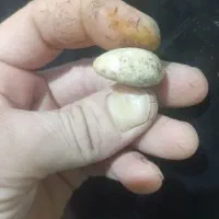 سنگ قدیمی
