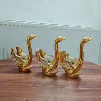 قوطلایی وماهی طلایی دکوری