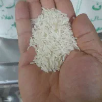 برنج|خوردنی و آشامیدنی|میاندوآب, |دیوار