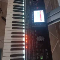 ساز کرگ pa3خانگی وتمیز