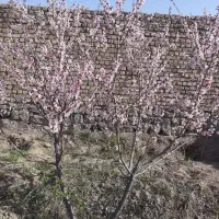 خونه-فروشی-کرامت