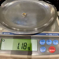 گوشواره کارلوکس