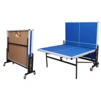 میز تنیس المپیک