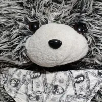 عروسک خرسی بزرگ|اسباب‌‌بازی|شیراز, کوشک میدان|دیوار