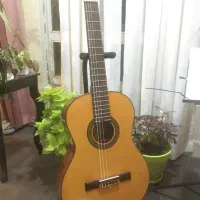 گیتارحرفه ای آریا aka30