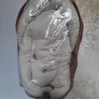 آغوشی سوئیسی بی بی