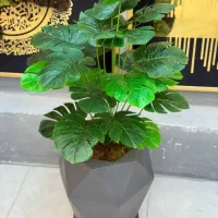 اکسسوری|کلکسیون و سرگرمی|گرگان, |دیوار