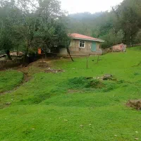 زمین مسکونی پلاک اول جنگل  ماسال|فروش زمین و ملک کلنگی|صومعه‌سرا, |دیوار