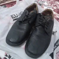 کفش چرمی|کیف، کفش، کمربند|مرند, |دیوار