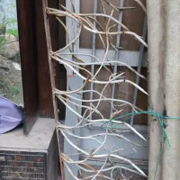 حفاظ شاخ گوزن 1/5 متر