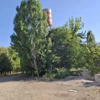 گاوداری اجاره ای