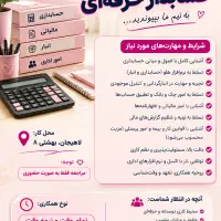 حسابدار حرفه ای