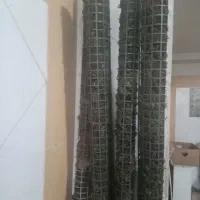 قیم گل