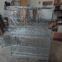 کارگاه تولید انواع قفس پرنده|لوازم جانبی حیوانات|ابریشم, |دیوار