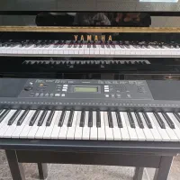 یاماها E343|پیانو، کیبورد، آکاردئون|یزد, |دیوار