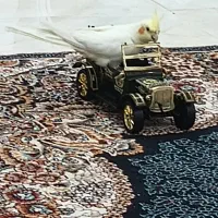 عروس هلندی ماده|پرنده|هشتگرد, فاز ۲ مهستان|دیوار