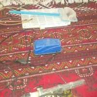 اکفاریوم|ماهی|گرگان, |دیوار