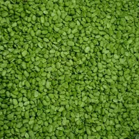 باقالی سبز و نخود فرنگی تازه و منجمد به شرط