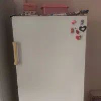 یخچال تمیز  بدون زن زدگی