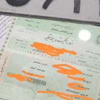 سندومدارک کامل زانتیامدل83