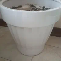 گلدان  بزرگ