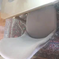 میز نهار خوری