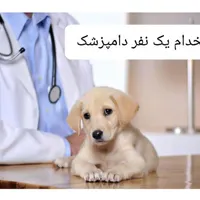 استخدام دامپزشک مسئول فنی با بیمه در قزوین