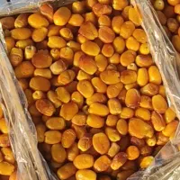 زاهدی عسلی