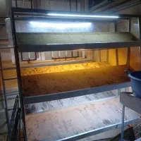 کلیه لوازم میوه فروشی