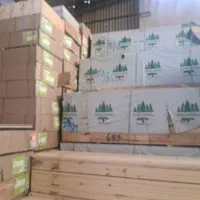 باگت بالابر بنایی عمده و تک تخته کد ۴۴۴ ارتفاع