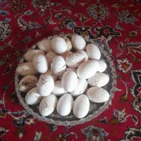 تخمغازنطفهدار