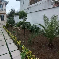 باغبانی تخصصی ویلا و محوطه سبز منزل