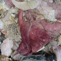 ضایعات سیرابی برای سگ