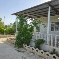 باغ انواع میوه|فروش زمین و ملک کلنگی|قم, دانش|دیوار