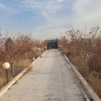 باغچه سند۶دانگ شاهنامه گوارشک حسن آباد نقدقسط|فروش زمین و ملک کلنگی|مشهد, توس فردوسی|دیوار