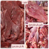 گوشت شتر مرغ و محصولات شتر مرغ