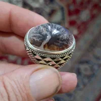 شجر تمام شبکه|کلکسیون اشیاء عتیقه|آفتاب, |دیوار