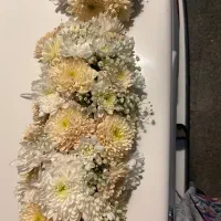 گل ماشین عروس|گل و گیاه طبیعی|اصفهان, پوریای ولی|دیوار