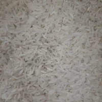 برنج فجر فروشی