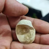 مهره اصل افغان