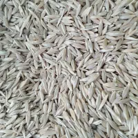 ۱۲۵کیلوجوی