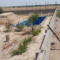 کشاورزی مزرعه ۲۱ هکتاری|فروش دفتر صنعتی، کشاورزی، تجاری|دشتابی, |دیوار