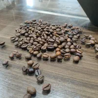 فروش دان قهوه