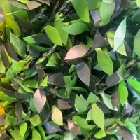فنس چمنی