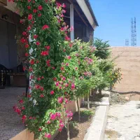 فروش زمین ۱۸۰ متری شهرک کوثر۱